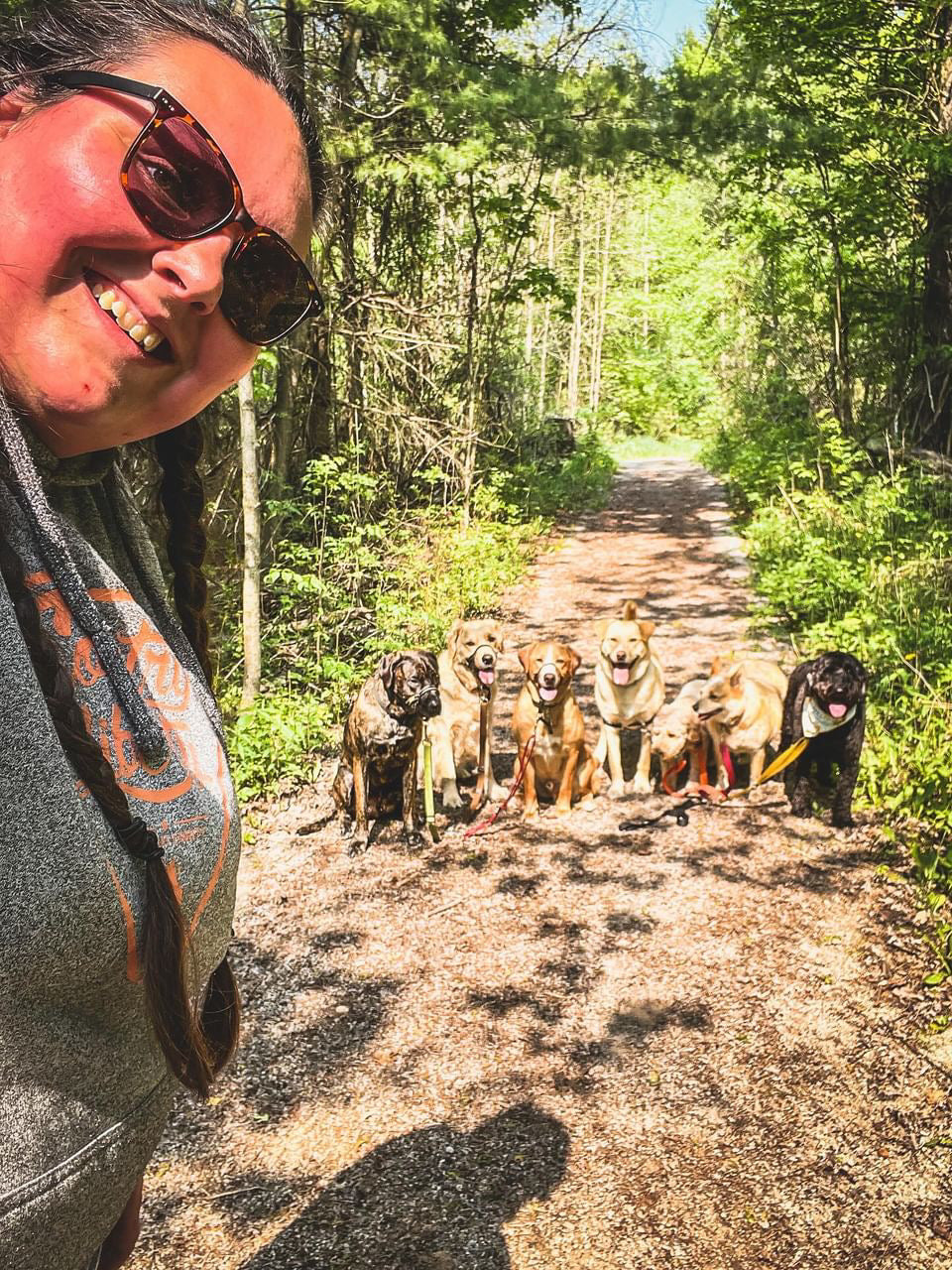 There is a group of leashed dogs on a forest path in the summertime. Their dog walker is on the left of the frame smiling and leaning towards them and she takes a selfie with the dogs in the background.