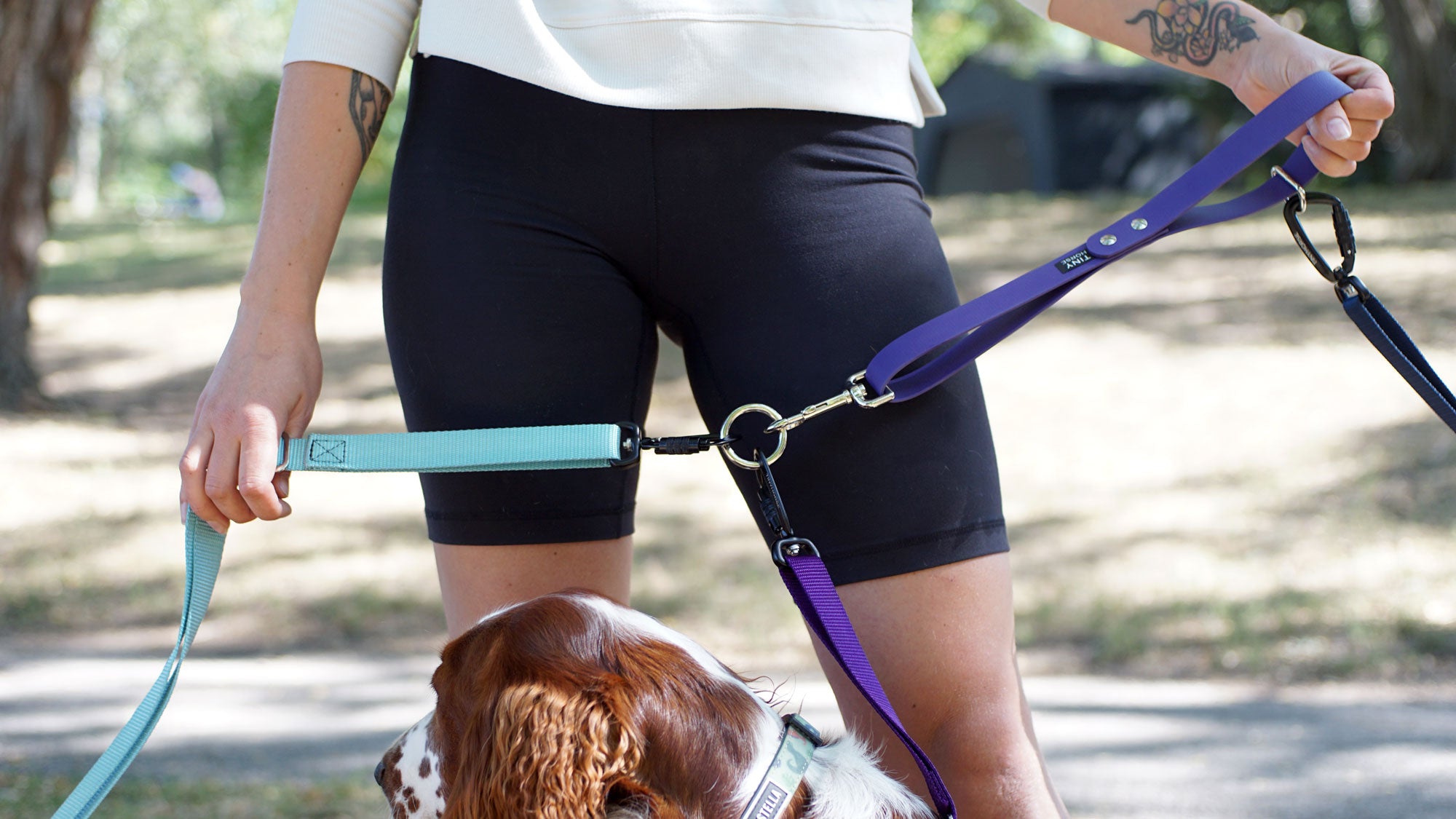 Multiple dog walking belt best sale