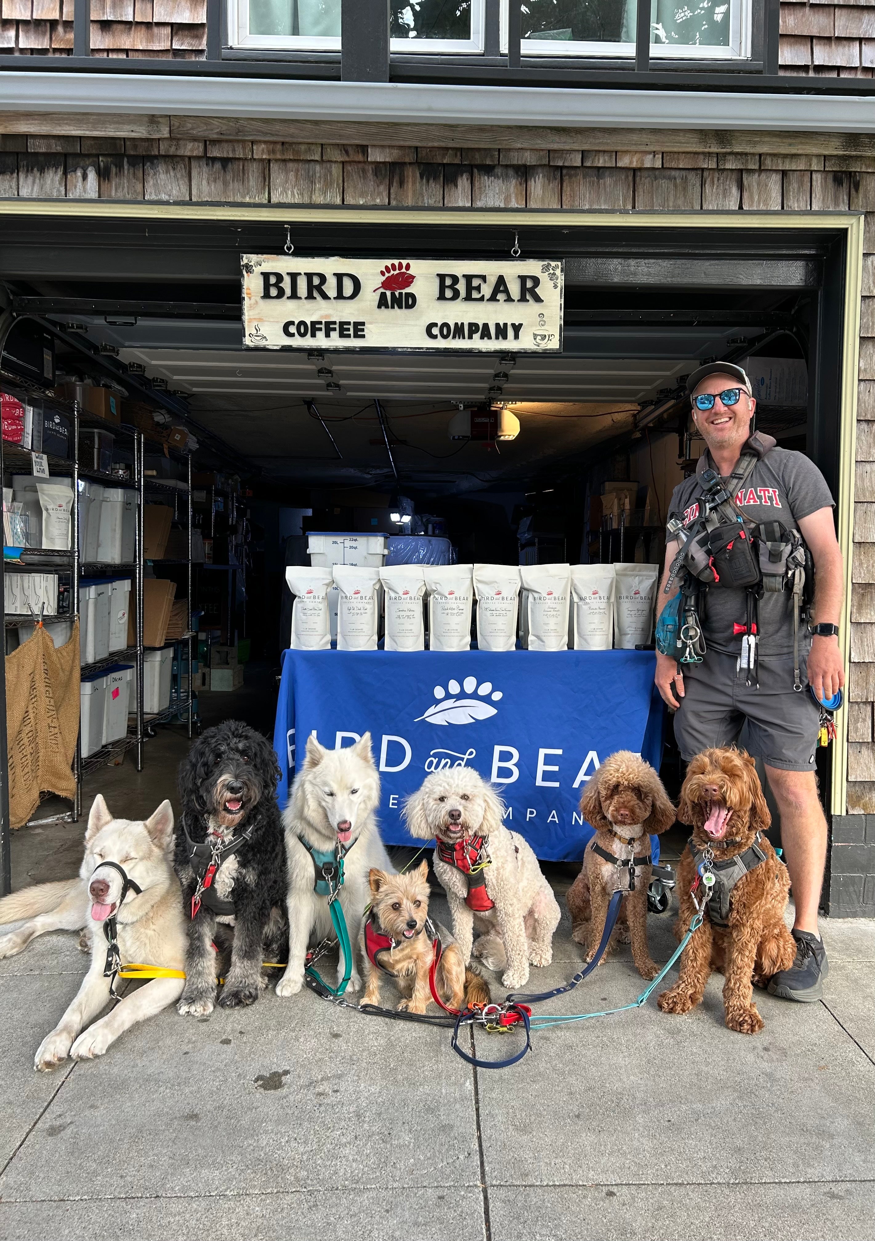 A male Caucasian dog walker is standing to the right of a group of dogs that are leashed together with TinyHorse equipment. They are in front of the large opening of a business with a sign that says “Bird and Bear Coffee Company.” The dog walker is smiling and many of the dogs have their tongues hanging out.