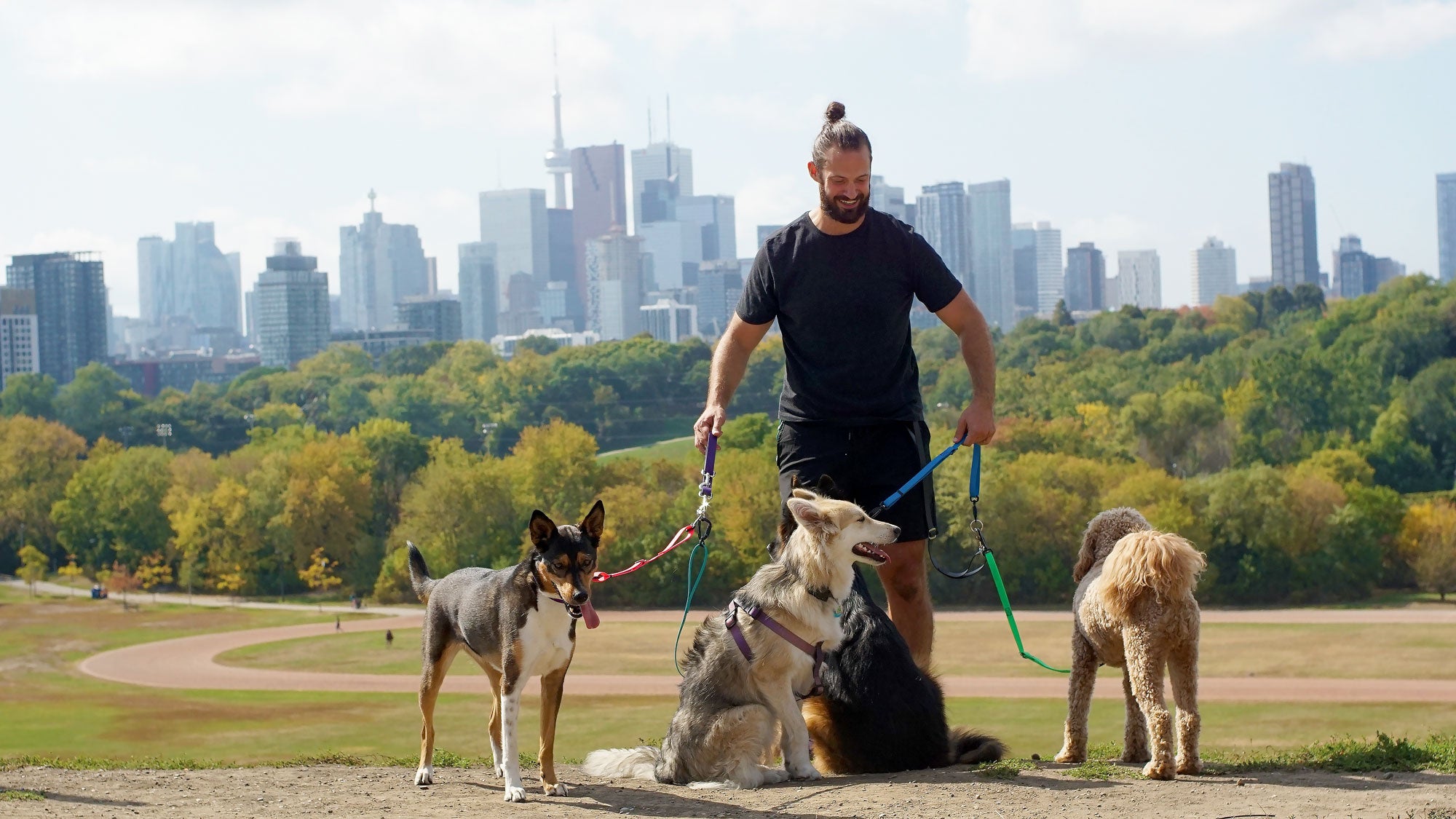 A man walking multiple dogs with 2 Lead-All leashes in a scenic Toronto park
