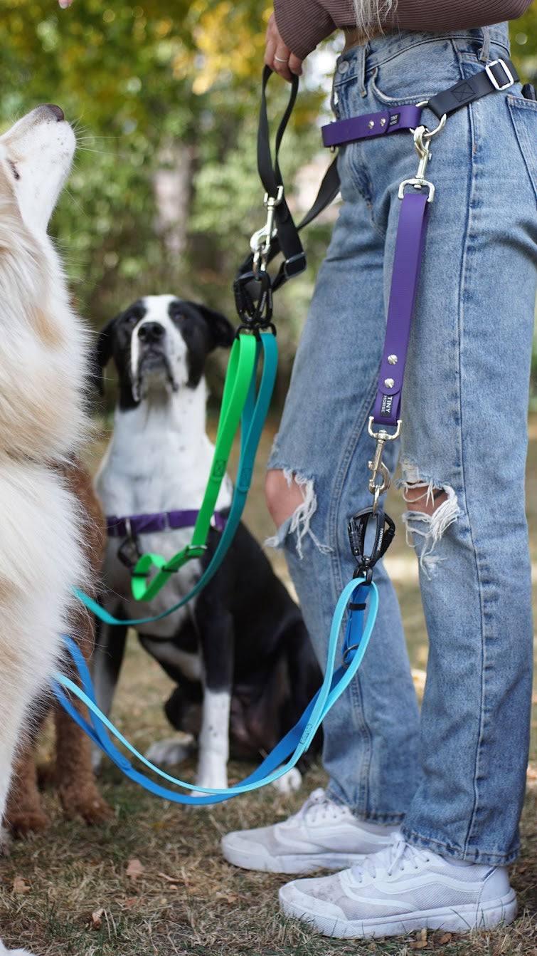 Person in a forest wearing a Lead-All Pro walking multiple dogs connected to their waist