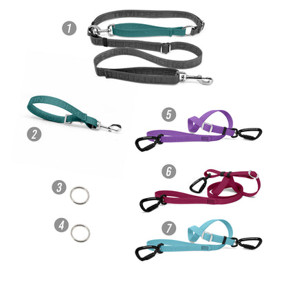 Walk 3 Dogs ODD COUPLE Bundle - Hands-Free - High Security - Mixed Series