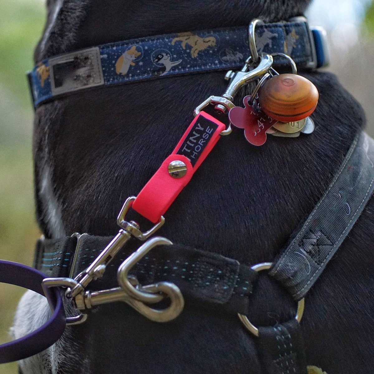 Security top dog harness