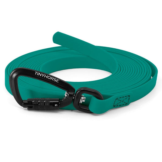 A teal, handle-less long line with an auto-locking carabiner